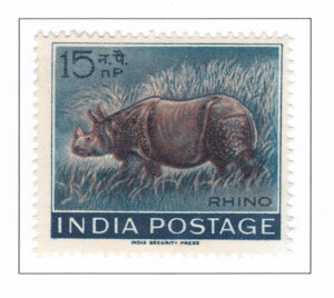 Indian Rhinoceros – 1962