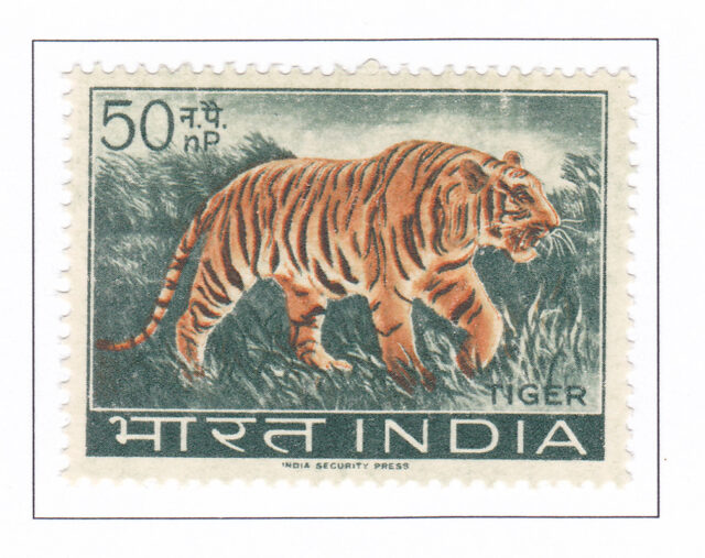 Panthera tigris Tiger – 1963