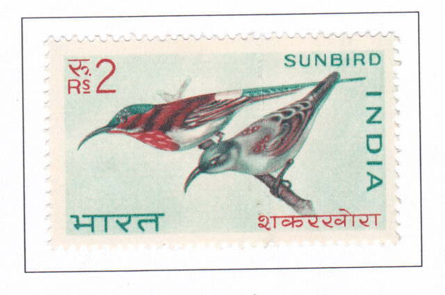 Yellow-backed Sunbird – 1968